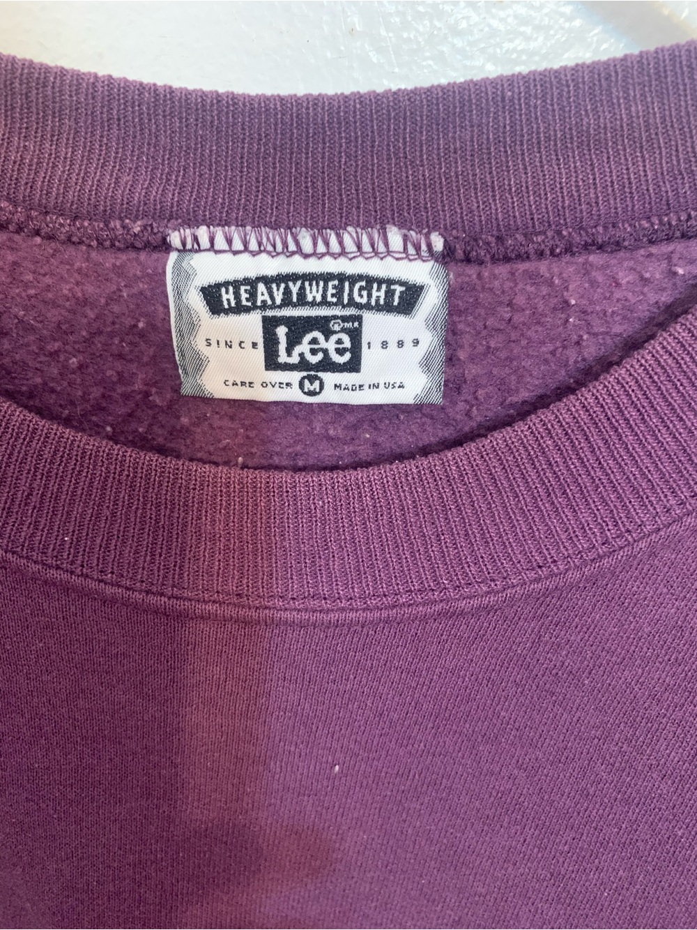 Lee Heavyweight Crewneck Sweatshirt in Plum